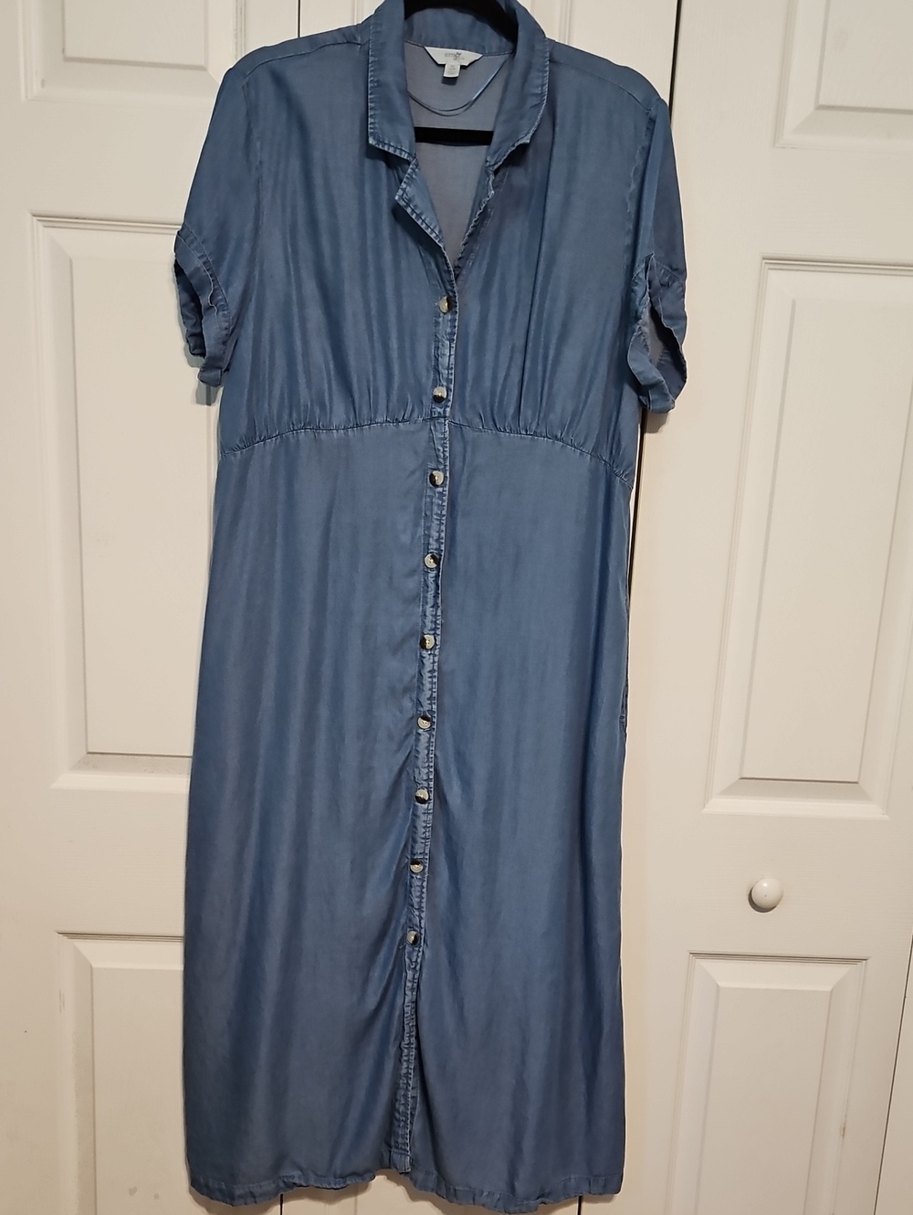 Terra & Sky Denim Button-Front Maxi Dress - Blue